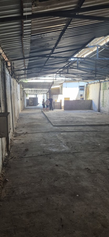 Depósito-Galpão, 500 m² - Foto 14