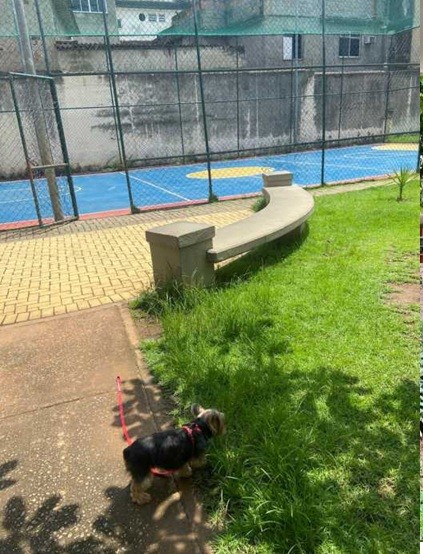 Apartamento, 3 quartos, 70 m² - Foto 4