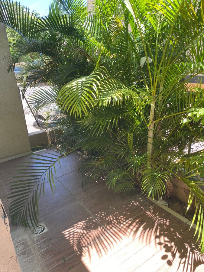 Apartamento à venda com 2 quartos, 65m² - Foto 17